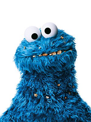 cookie-monster-portrait.jpg