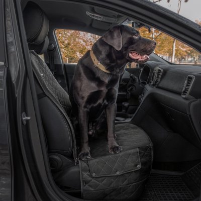 sc-pet01-blk-2.jpg sc-pet01-blk-2.jpg