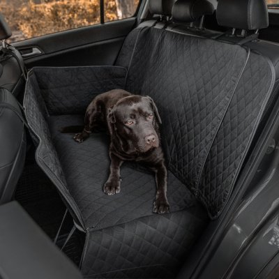 sc-pet02-blk-2.jpg sc-pet02-blk-2.jpg