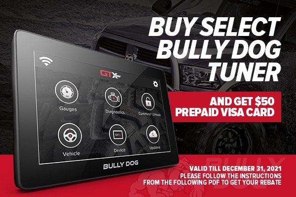 bully-dog-promo-5.jpg