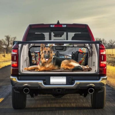KWrB8TpufN__NTB127TDv1_TruckDecal_mockup_1-500x500.jpg