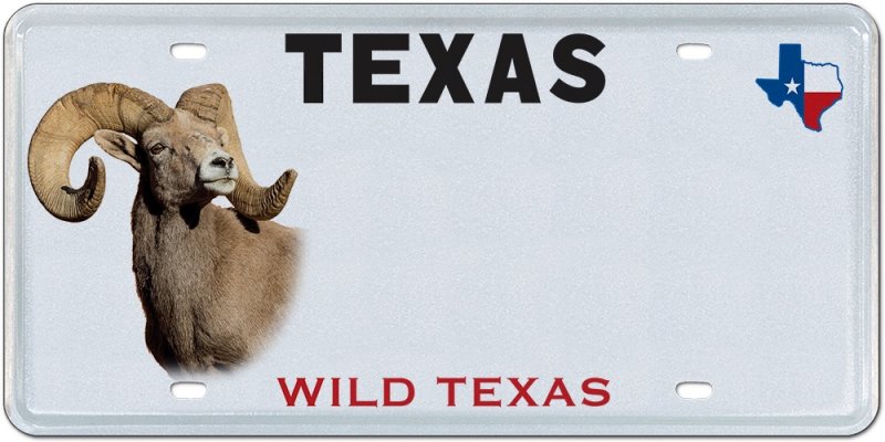 auto.wildlife.jpg