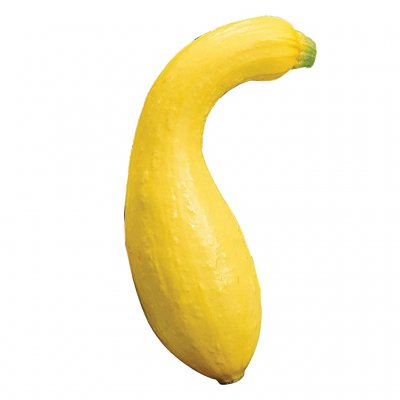 Produce_Squash_Yellow-Crookneck__60256.1593788794.jpg