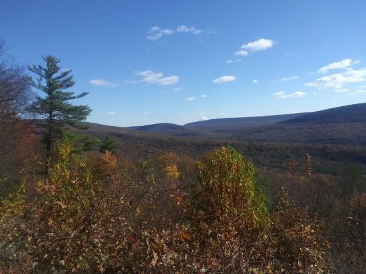 20211105_132410.jpg 20211105_132410.jpg