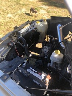 IMG_6003.jpg IMG_6003.jpg