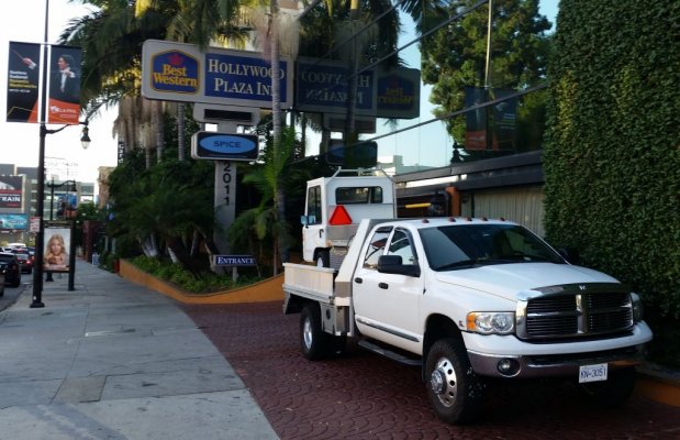 Max with Mighty in Hollywood..jpg