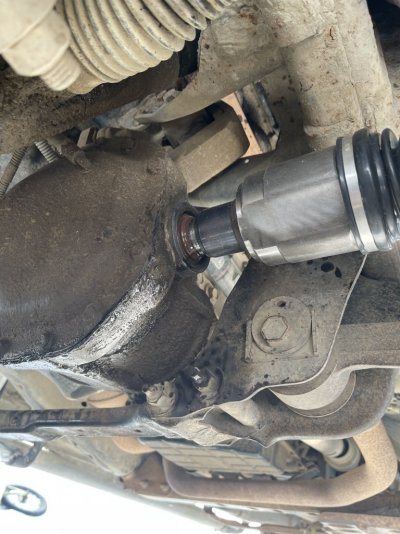 679ECFF3-483B-459B-BE30-FFA4F62E8646.jpeg