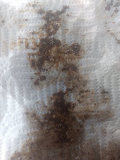 Cast Sand.jpg