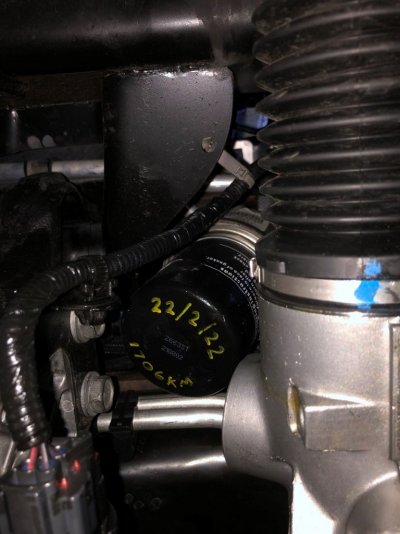 Oil Filter 3.JPG Oil Filter 3.JPG