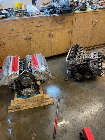New vs Old.jpg New vs Old.jpg