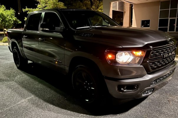 Night Ram 2.jpg