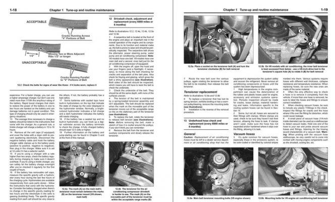 haynes-s10-book-2.jpg