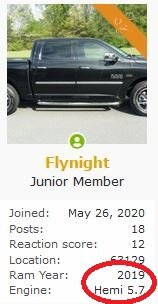 Flynight.JPG Flynight.JPG