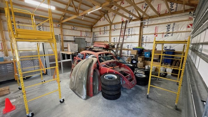 2021_bugsinshop.jpeg 2021_bugsinshop.jpeg