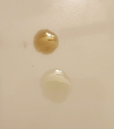 20220619_173202.jpg