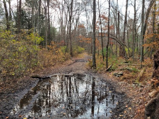 pine trail mud 2.jpg pine trail mud 2.jpg