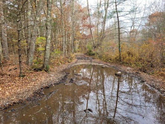 Pine trail mud.jpg Pine trail mud.jpg