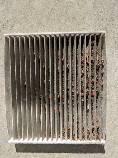 Cabin-Air-Filter-051221.jpg Cabin-Air-Filter-051221.jpg