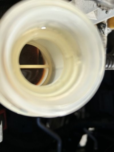 2F39838D-B341-4296-8B50-369762BC053B.jpeg