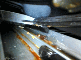 750x44.gif