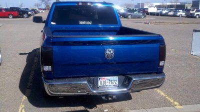 tinted tails2.jpg