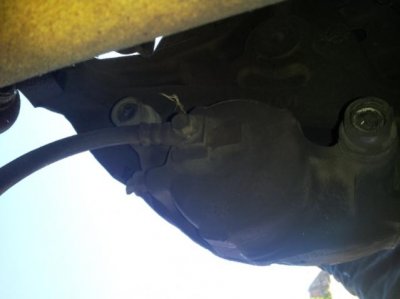 20120725_091625.jpg