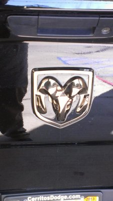 IMAG0168.jpg