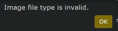 invalid file type.jpg