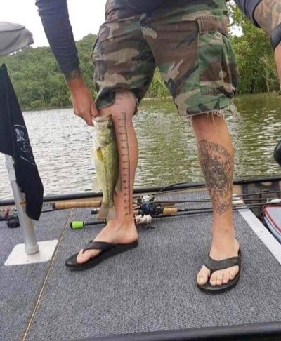 Fish-Tape.jpg