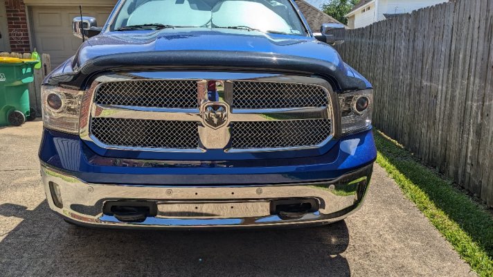 Ram-Grille.jpg Ram-Grille.jpg