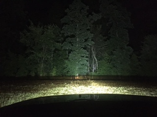 light bar 5.jpg
