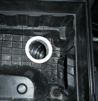 cai04-jpg-jpg.jpg