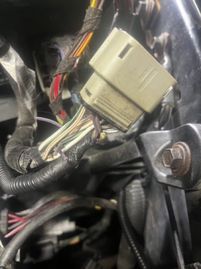 IMG_0160 3 Medium.jpeg