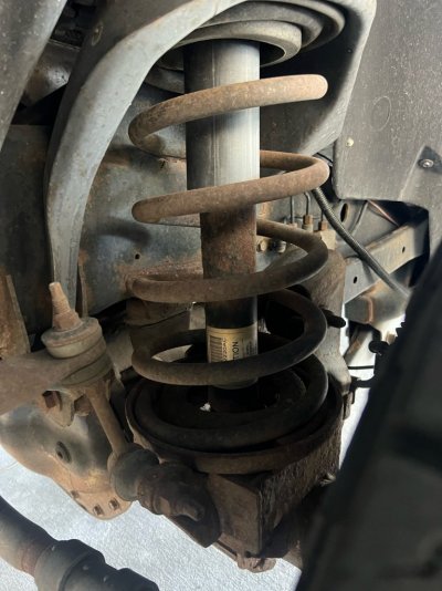 image4 (4).jpeg