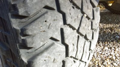 IMAG0014.jpg