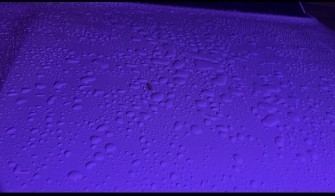 1BC1E6C9-3C19-4371-9464-16826656953C_1_201_a.jpeg