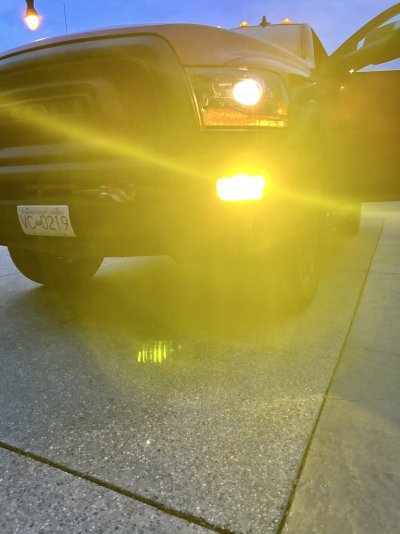 IMG_8279.jpeg IMG_8279.jpeg