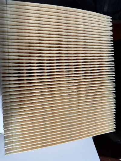 Fleeetguard Air filter.jpg