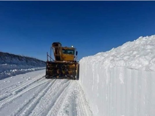 plowing 2024a.jpg plowing 2024a.jpg