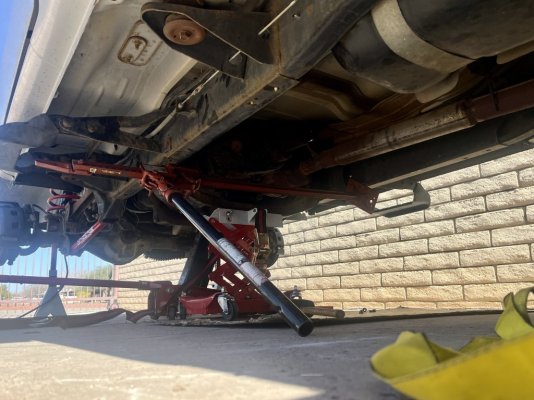 IMG_9506.jpeg IMG_9506.jpeg