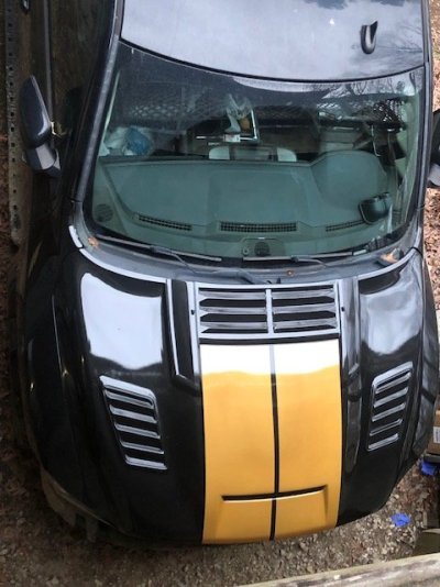 Paint front clip 4.jpg Paint front clip 4.jpg