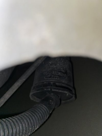 IMG_0457.jpeg