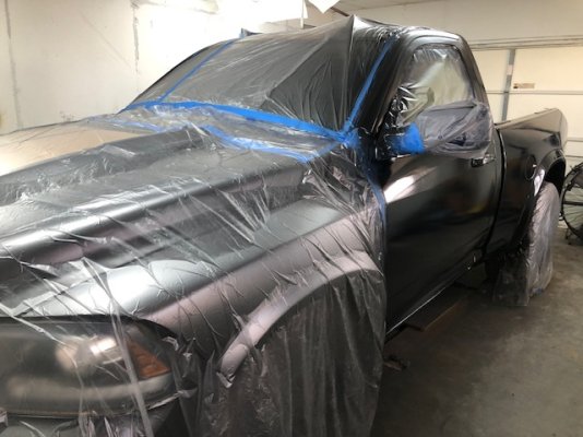 Rex Paint 6.jpg Rex Paint 6.jpg