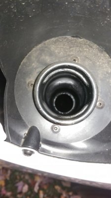 IMAG0107.jpg