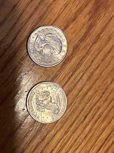Suzan B $1 coins.jpg