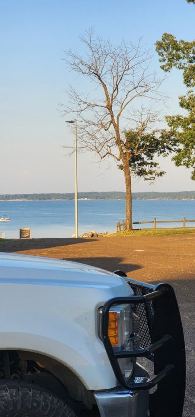 1000004461.jpg