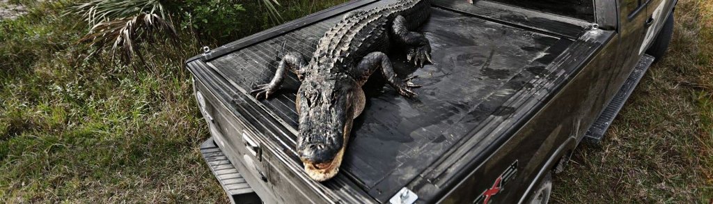 tonneau-covers_big_0.jpg tonneau-covers_big_0.jpg