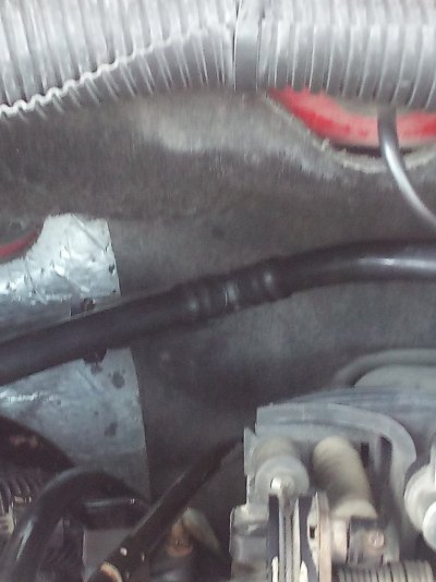 IMG_20240819_125011365.jpg