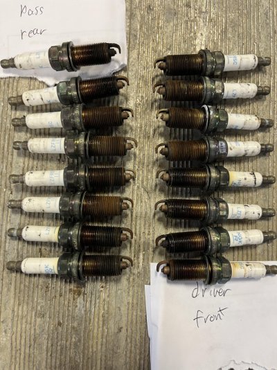 spark plugs.jpg spark plugs.jpg
