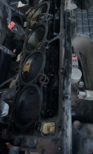Headers.jpg